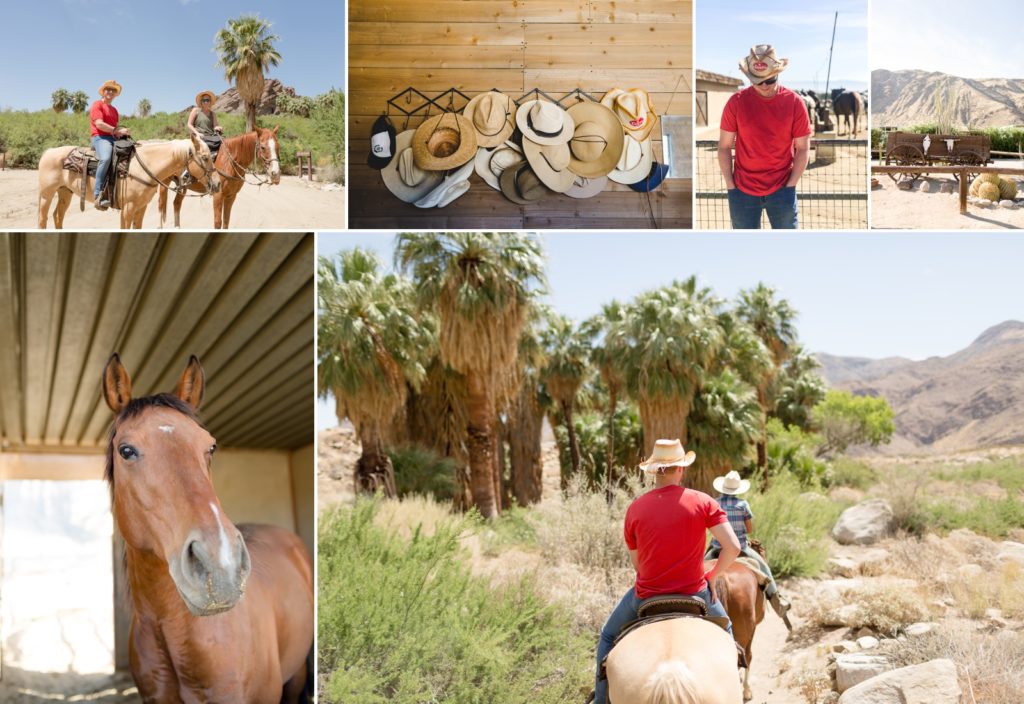 Horseback riding with Smoke Tree Stables as things to do in Palm Springs